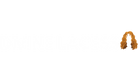Translation missing: en.DIVINE LACESS accessibility.home